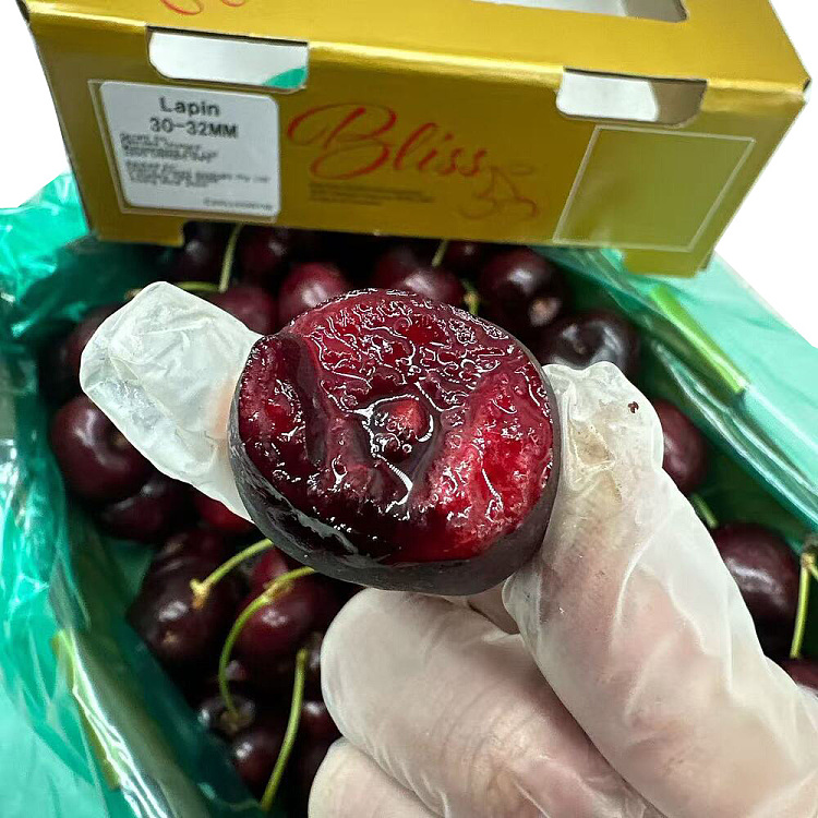 fresh-lapin-cherries-30-32mm-gift-box-approx-1kg-4