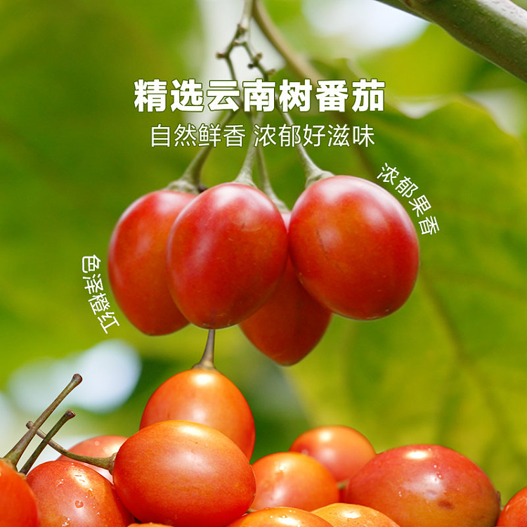 sams-exclusive-tree-tomato-hot-pot-base-300g4pc-5