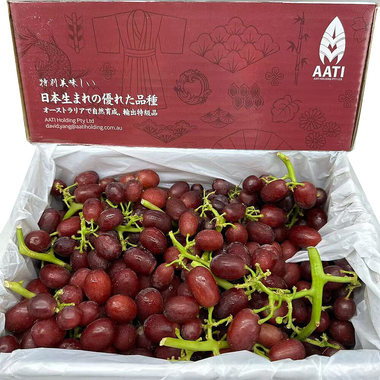 original-boxjapanese-rose-grape-gift-set-about-2kgjapanese-variety-locally-grown-1