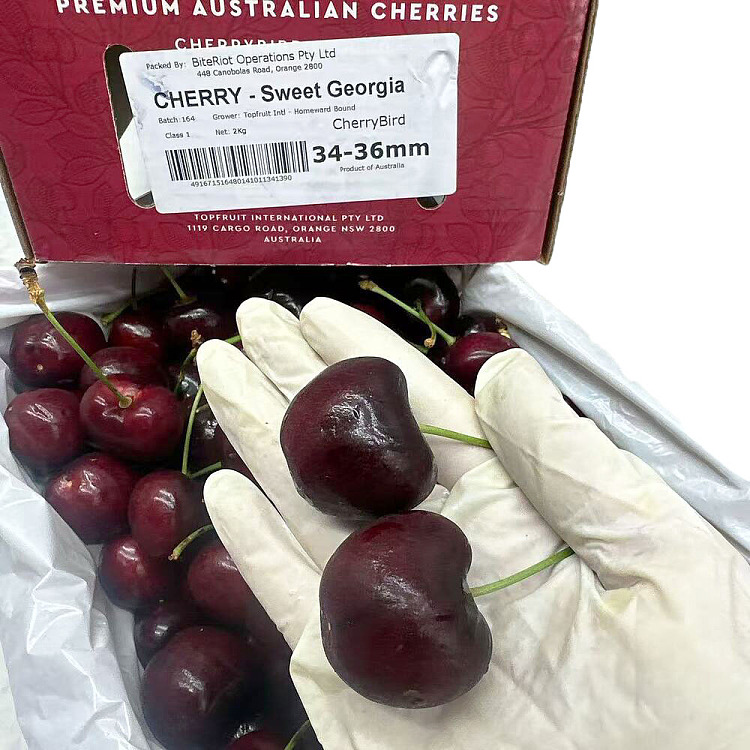 original-boxbiteriotsweetgeorgia-cherry-34-36mm-gift-box-approx-2kg-3