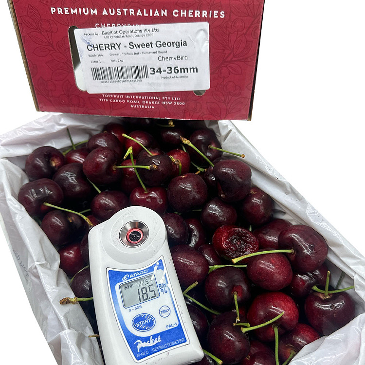 original-boxbiteriotsweetgeorgia-cherry-34-36mm-gift-box-approx-2kg-2