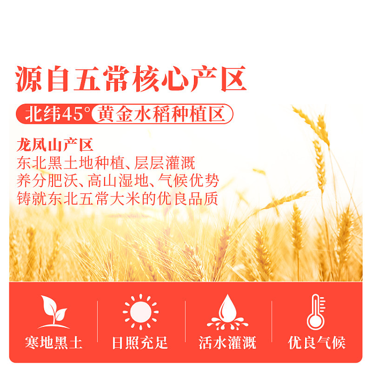 beidahuang-wuchang-rice-vacuum-pack-5kg-3
