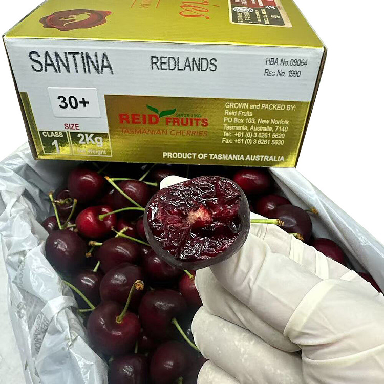 original-boxtasmania-reidsantina-30mmgolden-box-gift-box-approx-2kg-4