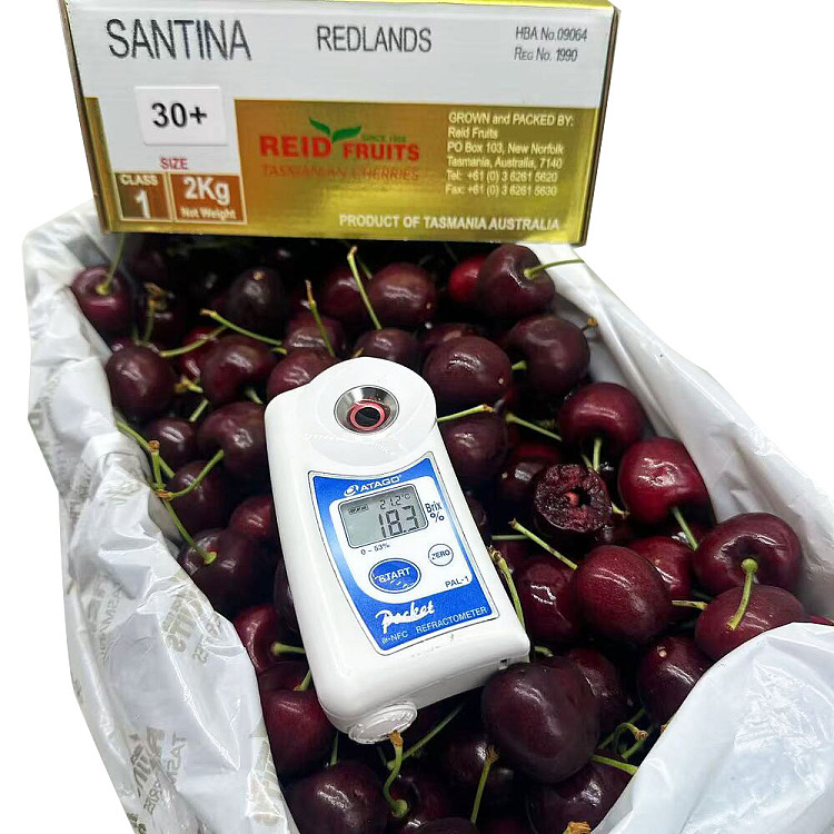 original-boxtasmania-reidsantina-30mmgolden-box-gift-box-approx-2kg-2