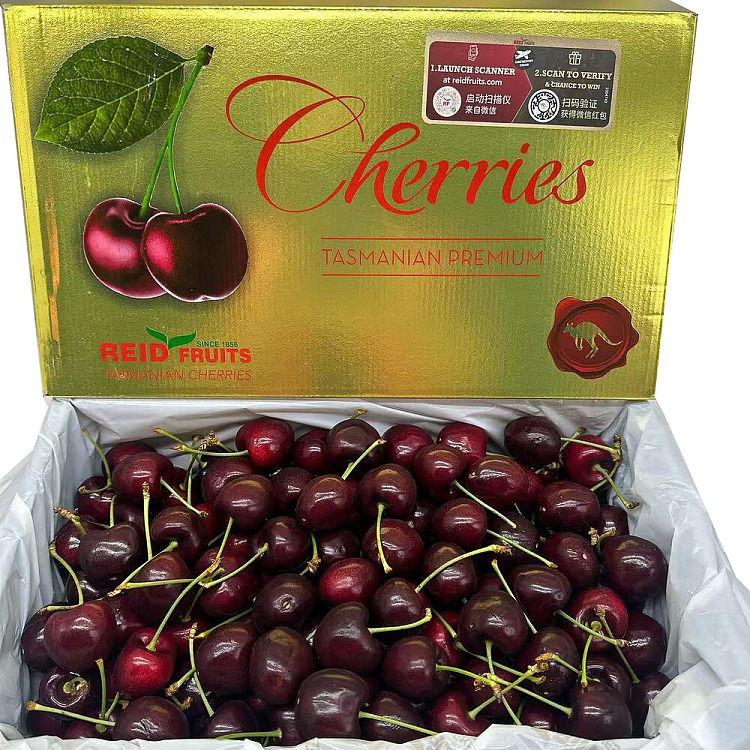 original-boxtasmania-reidsantina-30mmgolden-box-gift-box-approx-2kg-1