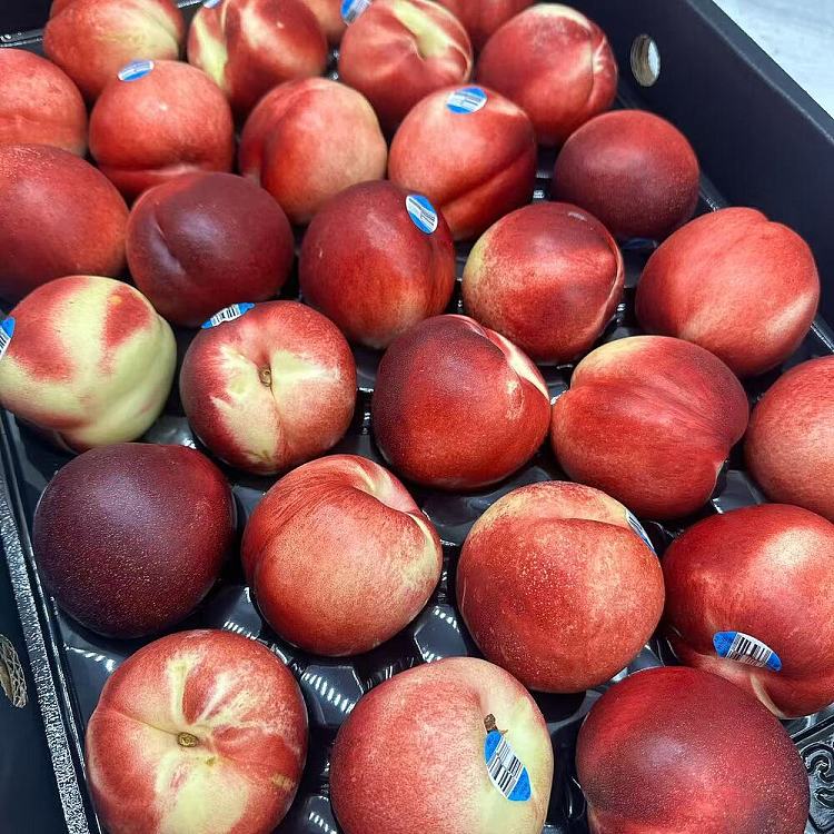 original-boxfresh-white-nectarine-about-5kg-1