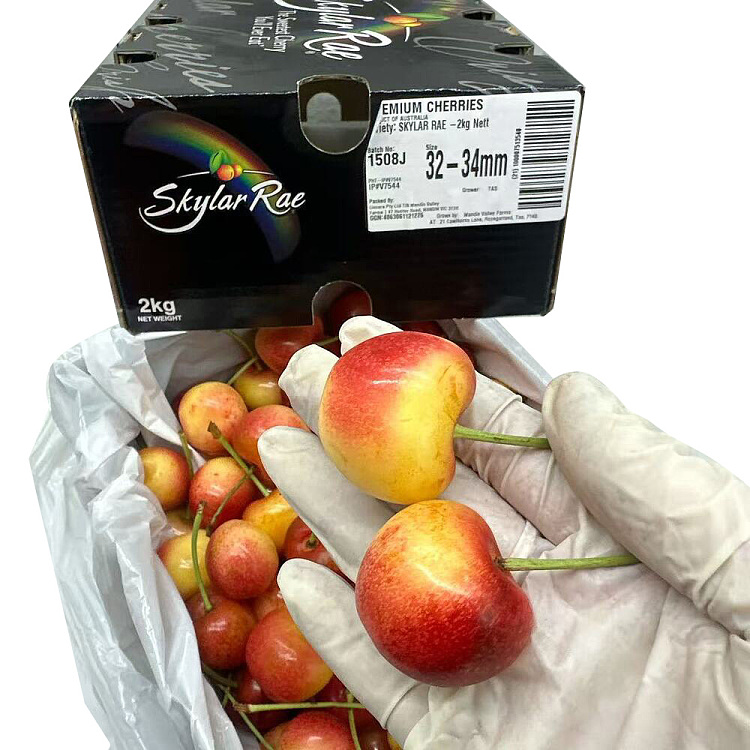 tasmania-skylarrae-white-cherry-32-34mm-gift-box-approx-2kg-3