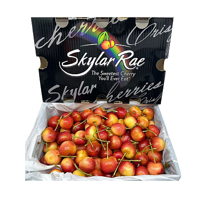 【整箱】塔州 Skylar Rae白樱桃 32-34mm 礼盒装 约2kg