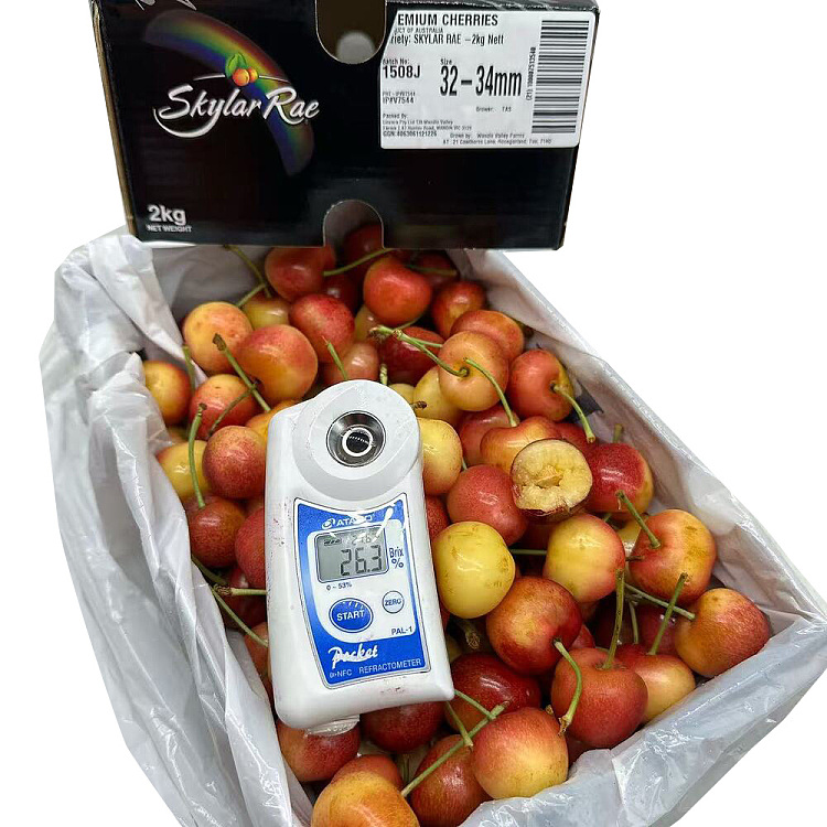 tasmania-skylarrae-white-cherry-32-34mm-gift-box-approx-2kg-2