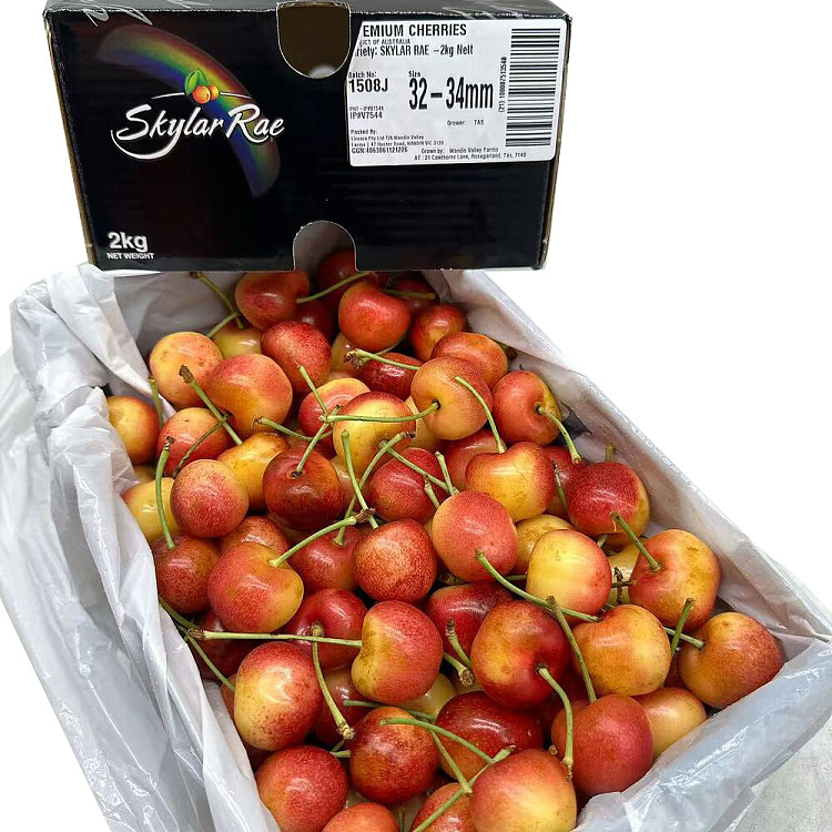 tasmania-skylarrae-white-cherry-32-34mm-gift-box-approx-2kg-5