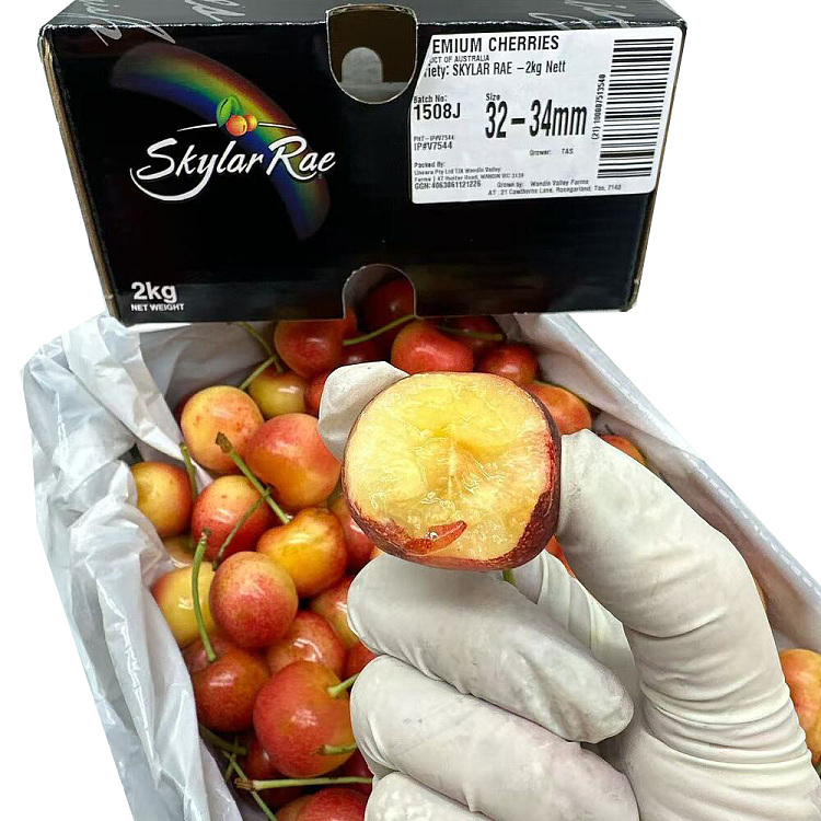 tasmania-skylarrae-white-cherry-32-34mm-gift-box-approx-2kg-4
