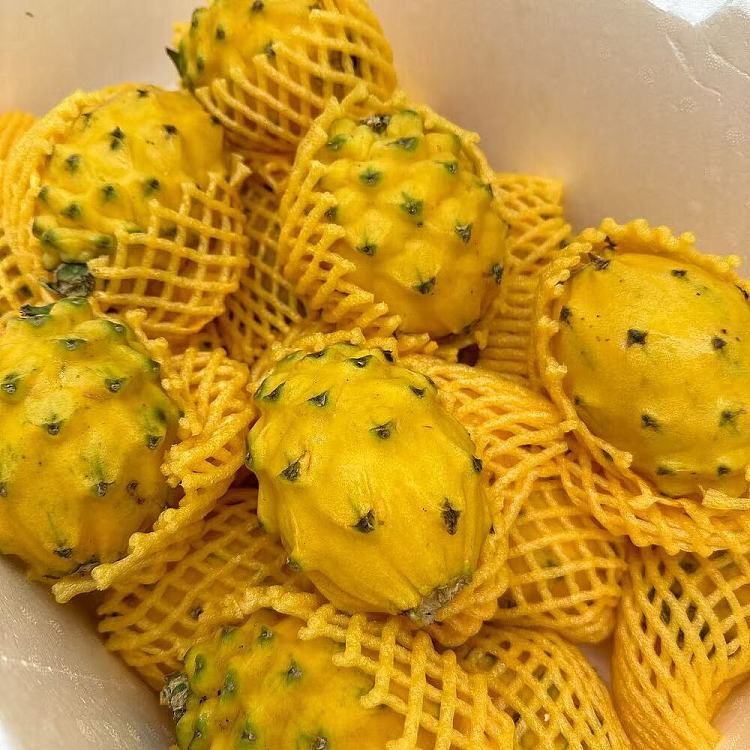 medium-pitaya-dragon-fruit-2pcs-2