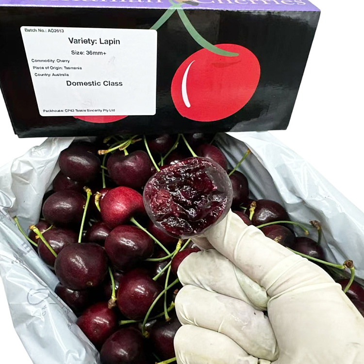 tasmanian-lapin-cherries-36-38mm-gift-box-approx-2kg-3
