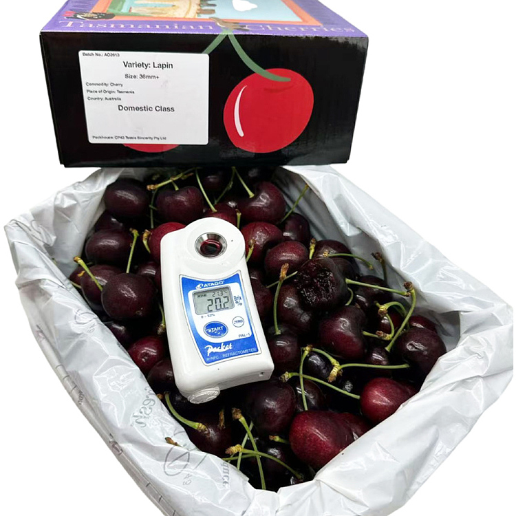 tasmanian-lapin-cherries-36-38mm-gift-box-approx-2kg-2