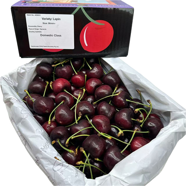 tasmanian-lapin-cherries-36-38mm-gift-box-approx-2kg-4