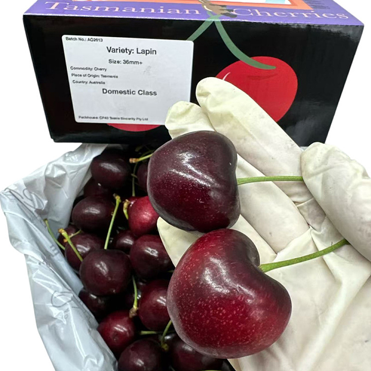 tasmanian-lapin-cherries-32-34mm-gift-box-approx-2kg-3