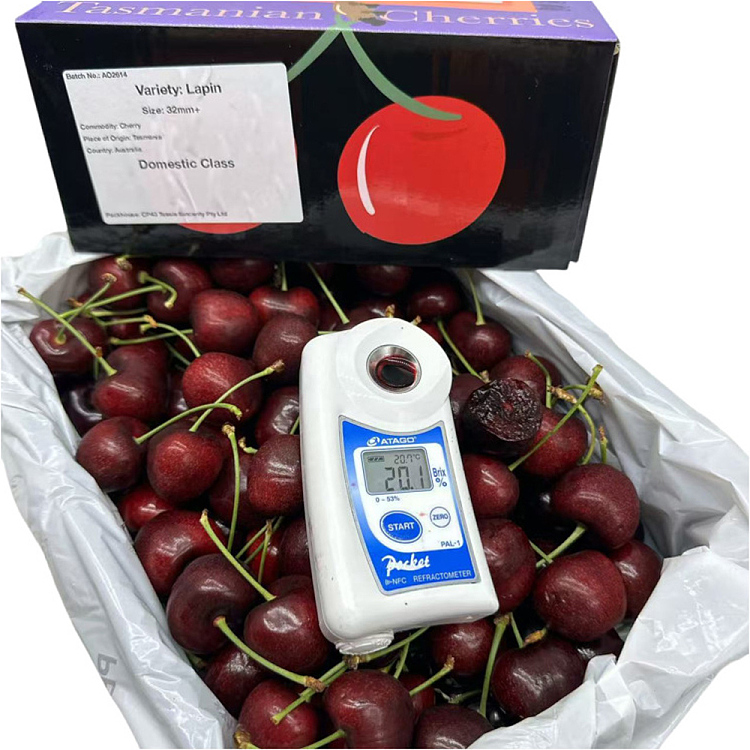 tasmanian-lapin-cherries-32-34mm-gift-box-approx-2kg-2