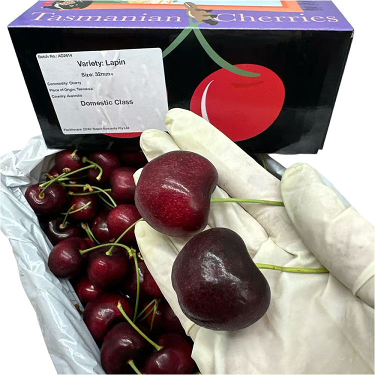 tasmanian-lapin-cherries-32-34mm-gift-box-approx-2kg-6