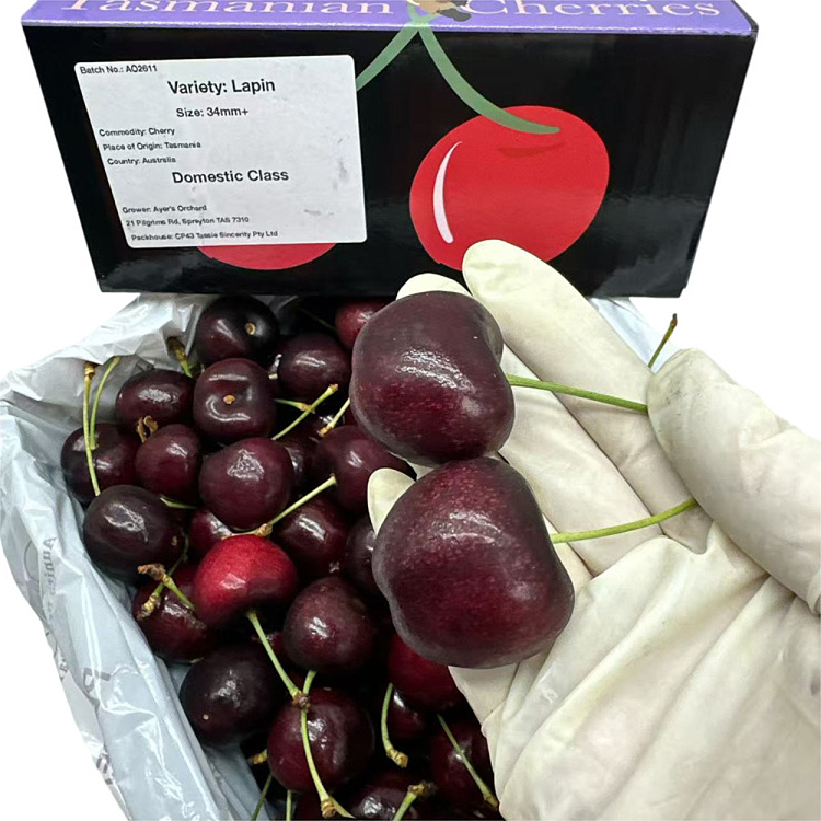 tasmanian-lapin-cherries-34mm-gift-box-approx-2kg-3