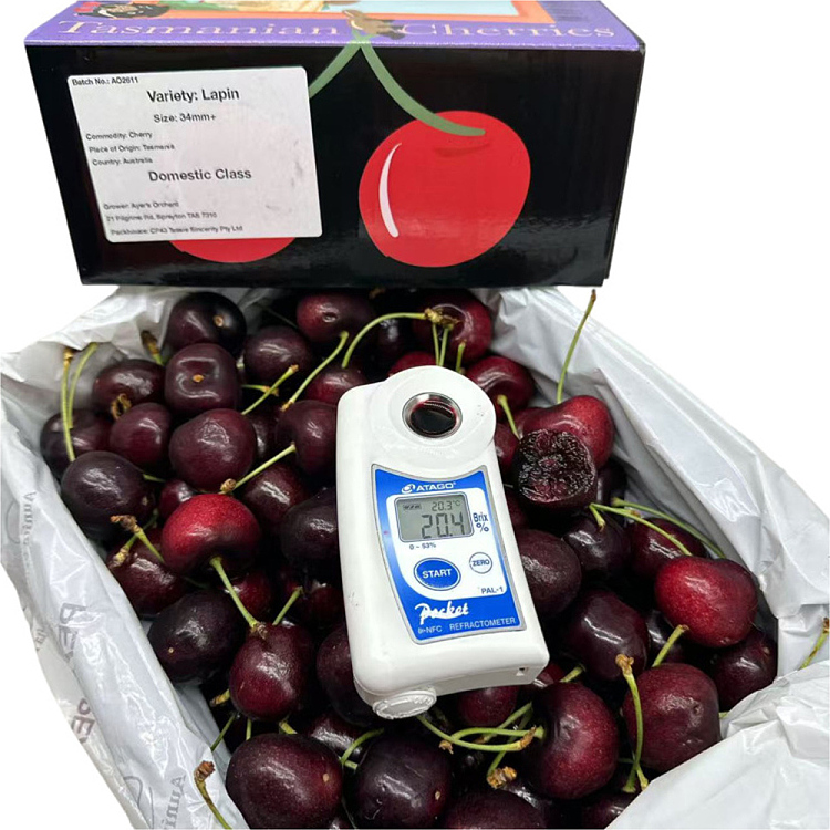 tasmanian-lapin-cherries-34mm-gift-box-approx-2kg-2