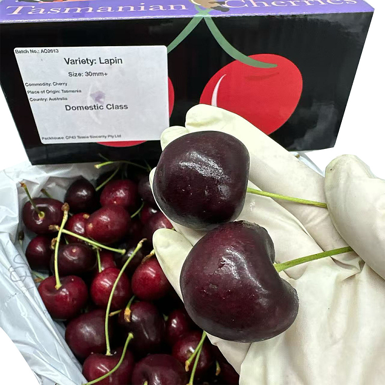 tasmanian-lapin-cherries-28-30mm-gift-box-approx-2kg-3