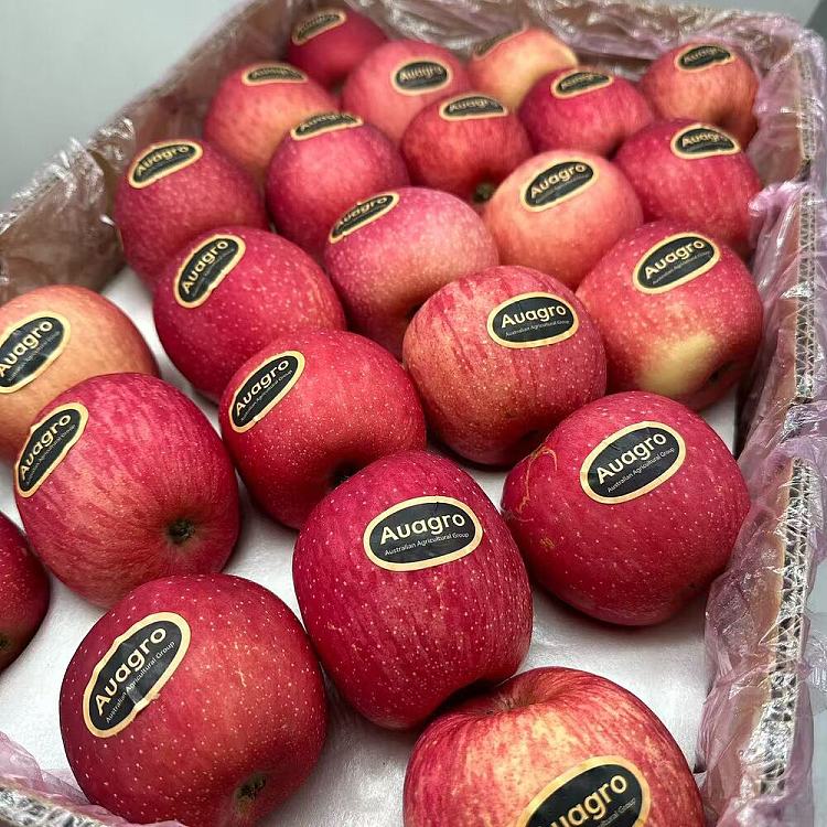 auagro-fuji-apple-1kg-5