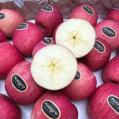 中国甘肃全红红富士苹果 Auagro Fuji Apple 1kg