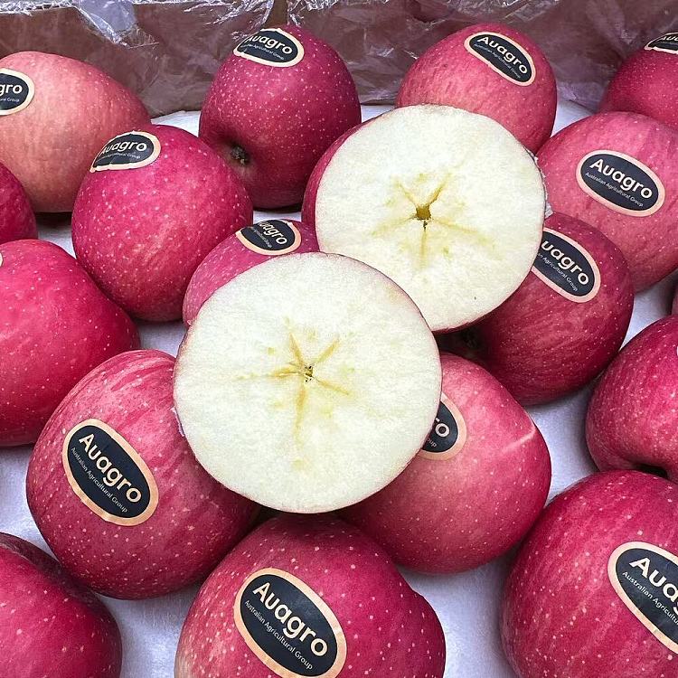 auagro-fuji-apple-1kg-1