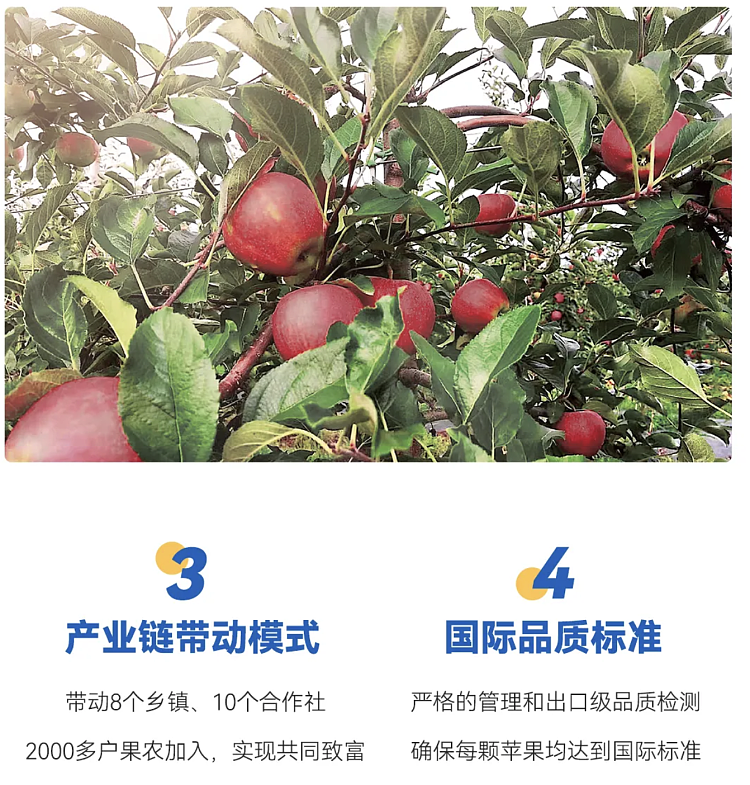 auagro-fuji-apple-1kg-5