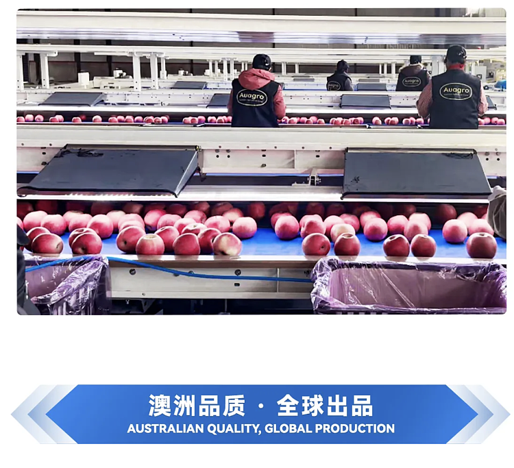 auagro-fuji-apple-1kg-6