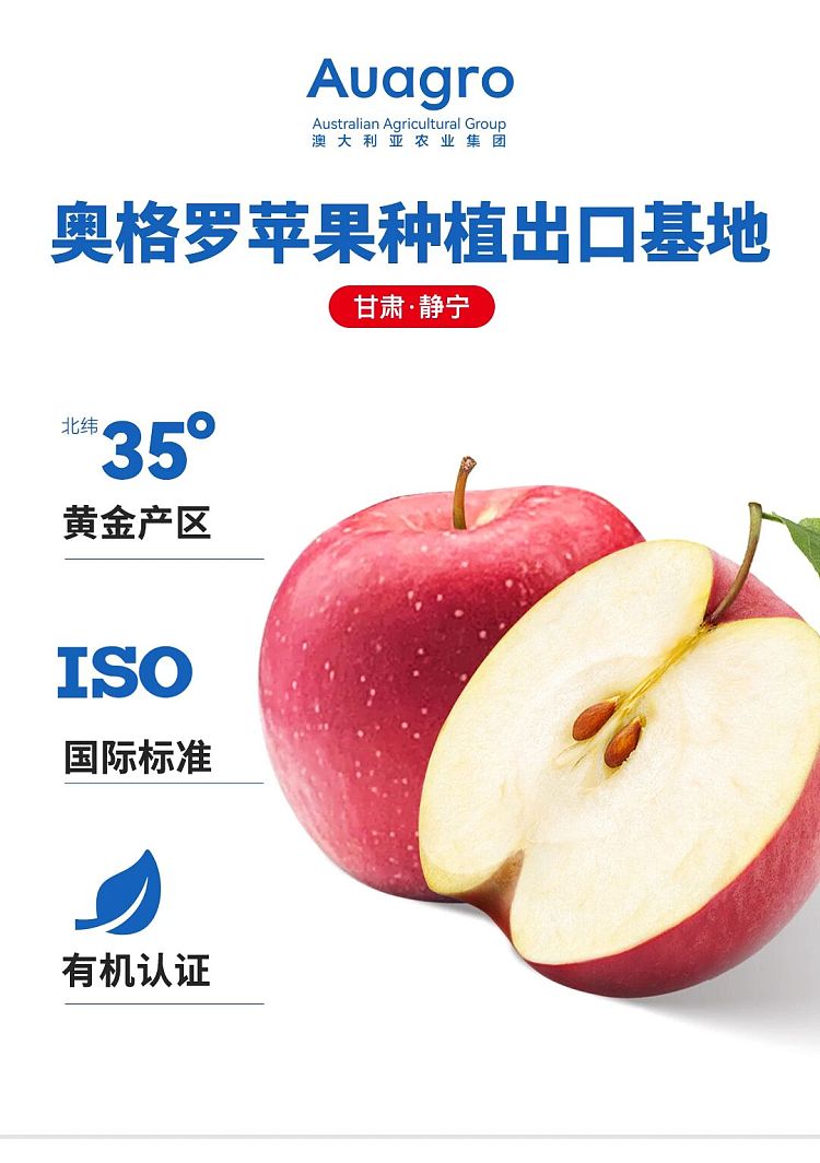 auagro-fuji-apple-1kg-1
