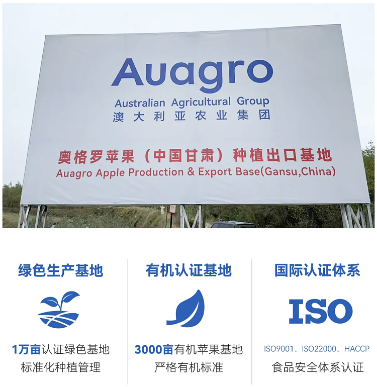 auagro-fuji-apple-1kg-3