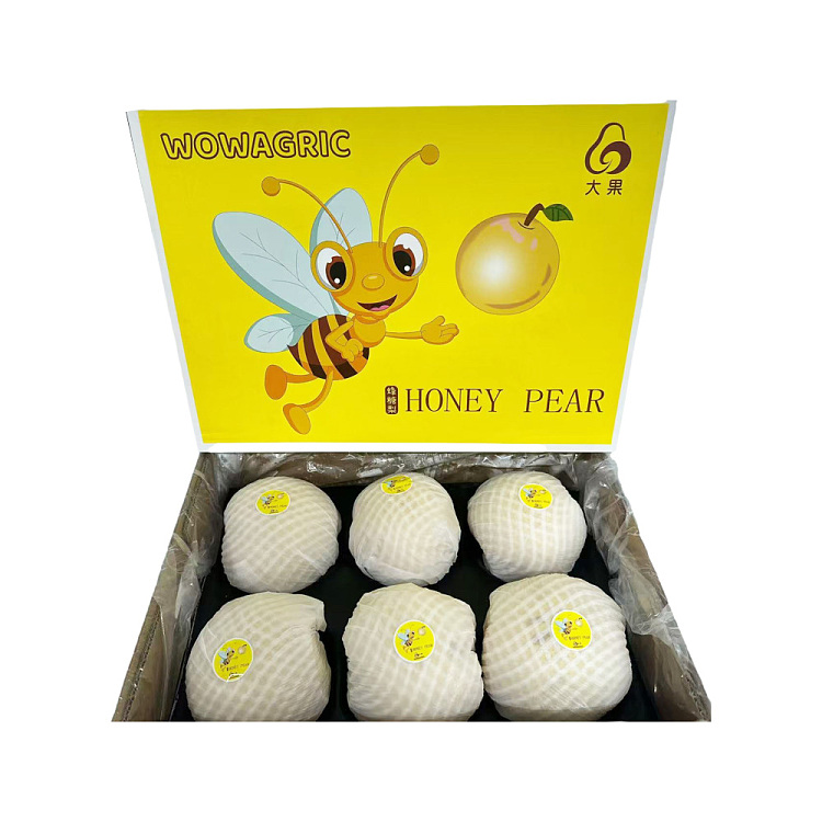 original-boxchina-honey-bee-honeypear-3kg-2