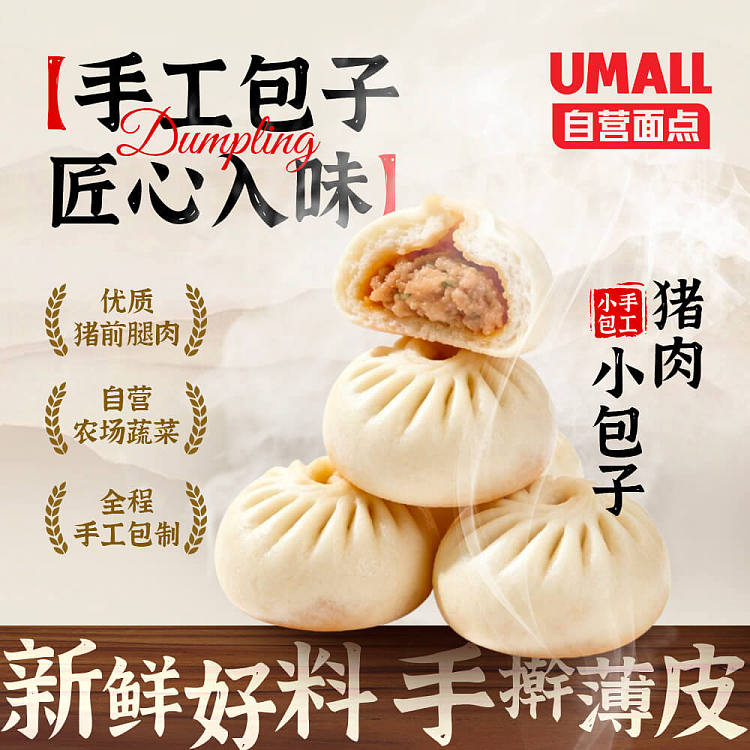 freezehandmade-fresh-pork-buns-10pcs-1