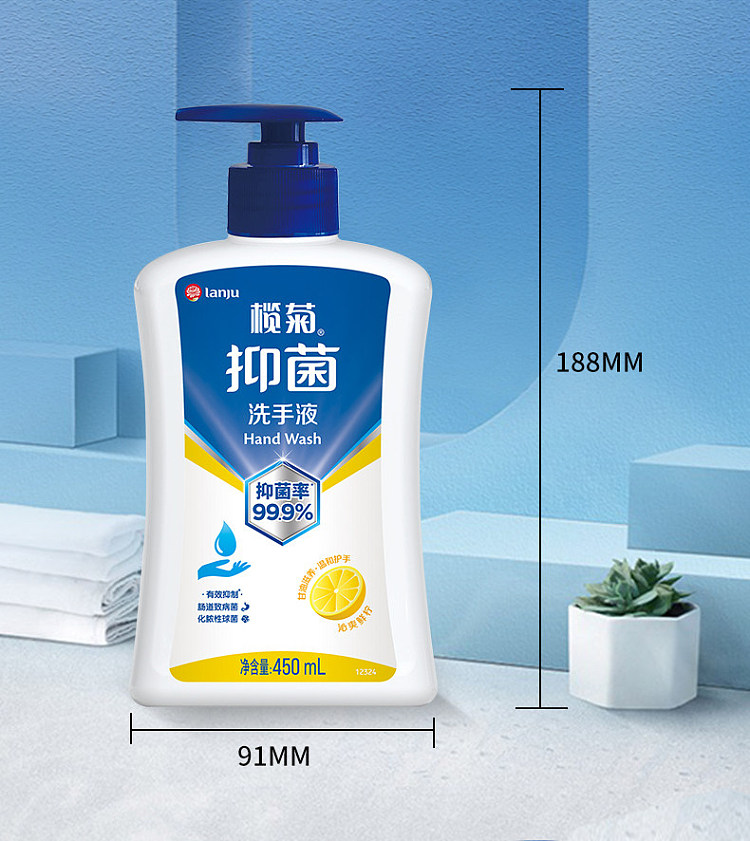 lanju-foaming-antibacterial-hand-wash-300ml-12