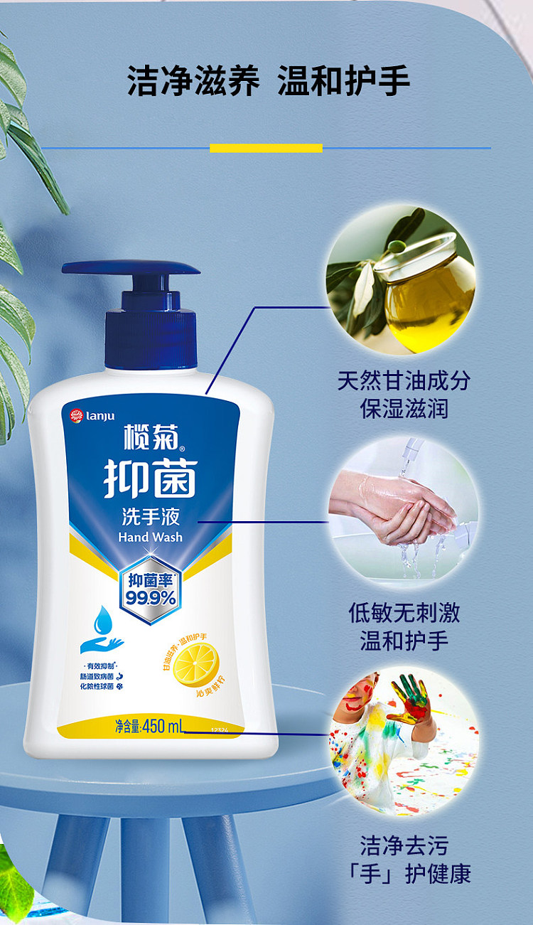 lanju-foaming-antibacterial-hand-wash-300ml-8