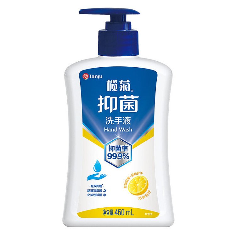lanju-foaming-antibacterial-hand-wash-300ml-1
