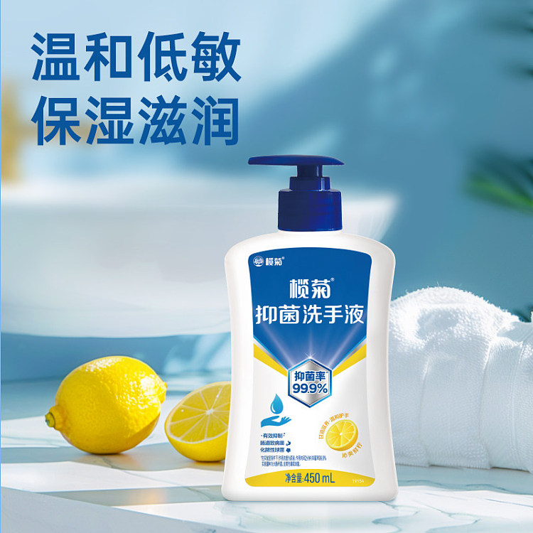 lanju-foaming-antibacterial-hand-wash-300ml-3