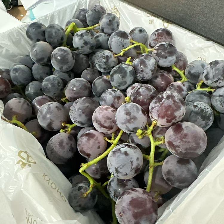 original-boxjapanese-rose-grape-gift-set-about-2kgjapanese-variety-locally-grown-2