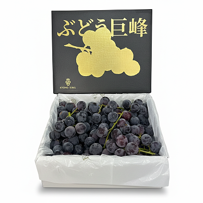 【整箱】KYOHO KING 日本巨峰王葡萄 黑金限定款 澳洲种植 2kg