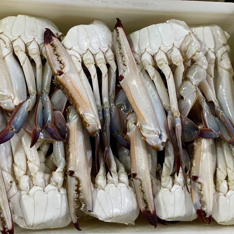freezeblue-swimming-crab-halvesblueswimmingcrabha-2