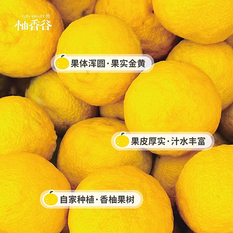 pomelo-valley-song-pomelo-juice-290ml-4