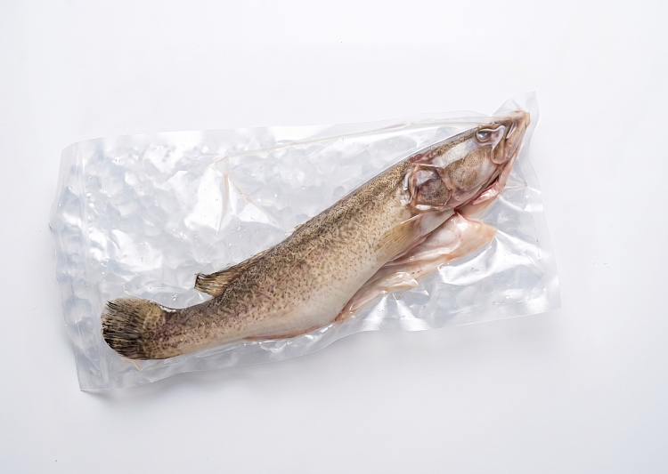 frozen-whole-flower-bass-scaled-and-gutted-murraycod-before-cleaning-600-800g-1