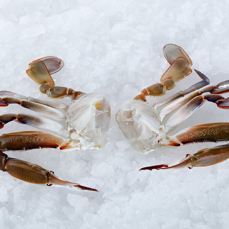 freezeblue-swimming-crab-halvesblueswimmingcrabha-1