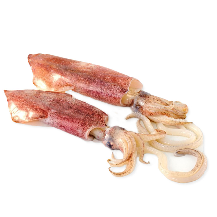 frozen-whole-squid-20-25cm-1kg-1