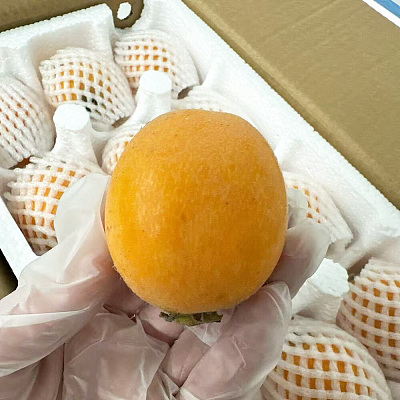【原箱】中国空运大号枇杷 Loquat 2.4kg