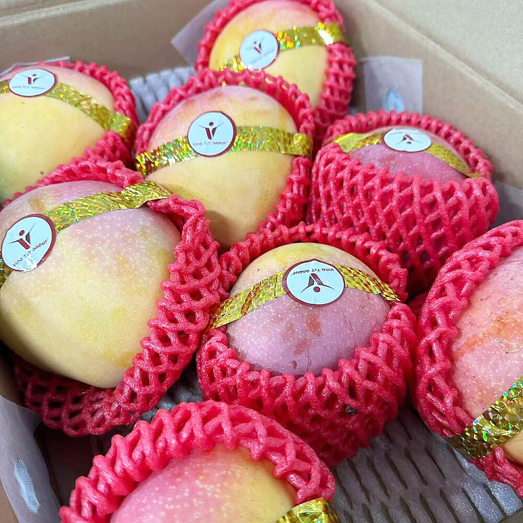 1-ladyjane-mango-mango-australia-2