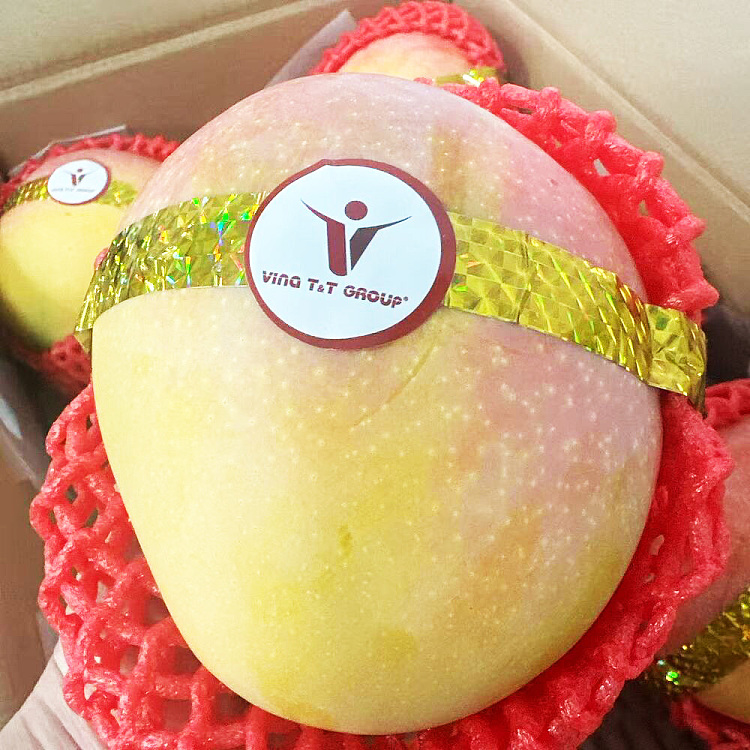 1-ladyjane-mango-mango-australia-1