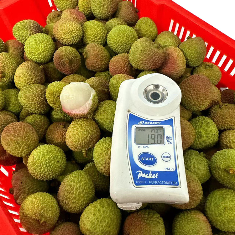 china-consort-lychee-500g-2