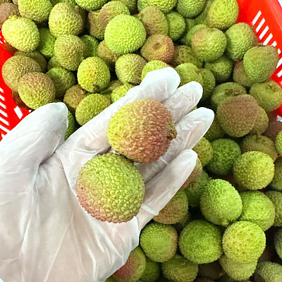 中国妃子笑荔枝 Lychee 500g